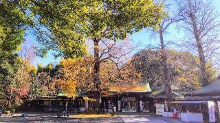 大宮八幡宮の参拝記録(オトギリルさん)