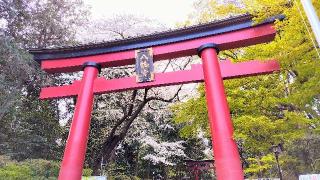 大宮八幡宮の参拝記録(オトギリルさん)