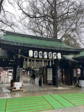 大宮八幡宮の参拝記録(⛩️🐍🐢まめ🐢🐍⛩️さん)