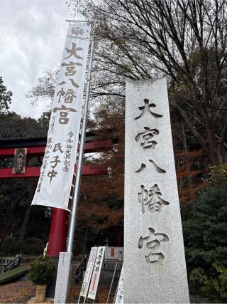 大宮八幡宮の参拝記録(⛩️🐍🐢まめ🐢🐍⛩️さん)
