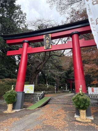 大宮八幡宮の参拝記録(⛩️🐍🐢まめ🐢🐍⛩️さん)