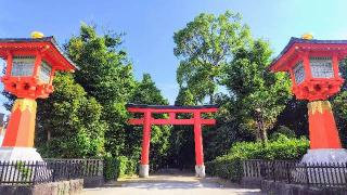 井草八幡宮の参拝記録(オトギリルさん)