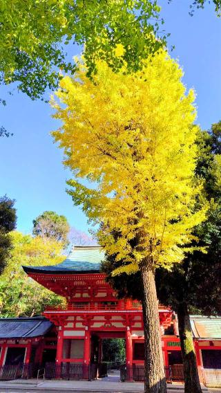 井草八幡宮の参拝記録(オトギリルさん)