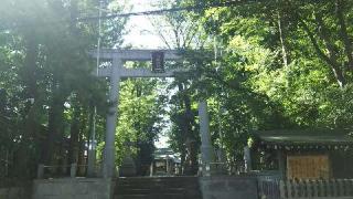 八幡神社（荻窪八幡神社）の参拝記録(オトギリルさん)