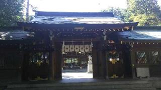 八幡神社（荻窪八幡神社）の参拝記録(オトギリルさん)