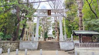 八幡神社（荻窪八幡神社）の参拝記録(オトギリルさん)