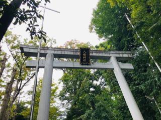 八幡神社（荻窪八幡神社）の参拝記録(あもさん)