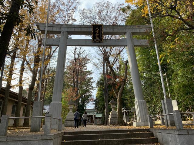 八幡神社（荻窪八幡神社）の参拝記録9