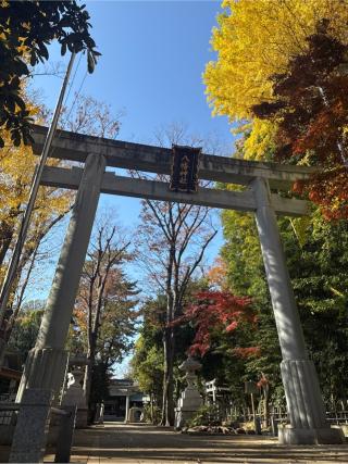 八幡神社（荻窪八幡神社）の参拝記録(⛩️🎠🐢まめ🐢🎠⛩️さん)