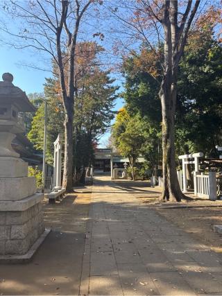 八幡神社（荻窪八幡神社）の参拝記録(⛩️🎠🐢まめ🐢🎠⛩️さん)