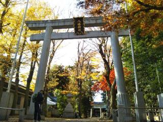 八幡神社（荻窪八幡神社）の参拝記録(UNAさん)