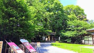阿佐ヶ谷神明宮の参拝記録(オトギリルさん)