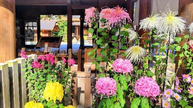 阿佐ヶ谷神明宮の参拝記録