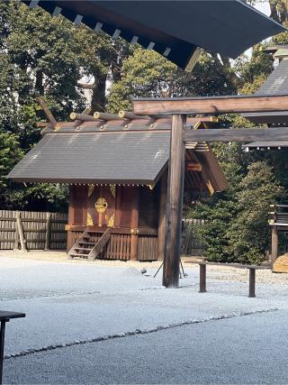 阿佐ヶ谷神明宮の参拝記録(⛩️🐉🐢まめ🐢🐉⛩️さん)