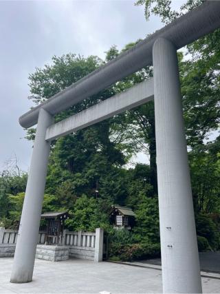 阿佐ヶ谷神明宮の参拝記録(⛩️🐍🐢まめ🐢🐍⛩️さん)