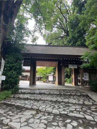 阿佐ヶ谷神明宮の参拝記録(⛩️🐍🐢まめ🐢🐍⛩️さん)