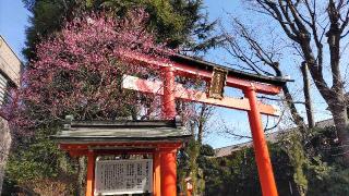 馬橋稲荷神社の参拝記録(オトギリルさん)