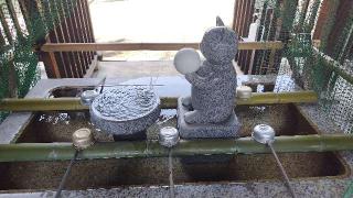 白山神社(荻窪白山神社)の参拝記録(オトギリルさん)