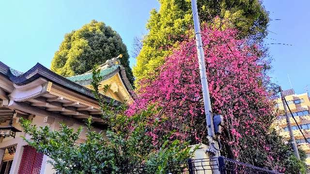 白山神社(荻窪白山神社)の参拝記録