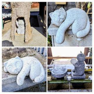 白山神社(荻窪白山神社)の参拝記録(オトギリルさん)