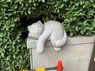 白山神社(荻窪白山神社)の参拝記録(金髪しんちゃんさん)