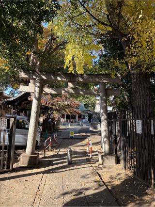 白山神社(荻窪白山神社)の参拝記録(⛩️🎠🐢まめ🐢🎠⛩️さん)