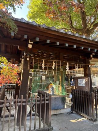 白山神社(荻窪白山神社)の参拝記録(⛩️🎠🐢まめ🐢🎠⛩️さん)
