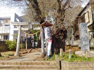 八幡神社（下高井戸浜田山八幡神社）の参拝記録(miyumikoさん)