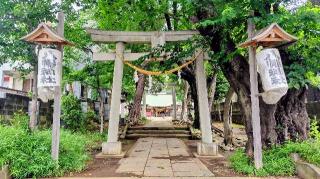 八幡神社（下高井戸浜田山八幡神社）の参拝記録(オトギリルさん)