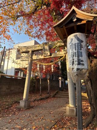 八幡神社（下高井戸浜田山八幡神社）の参拝記録(⛩️🐍🐢まめ🐢🐍⛩️さん)