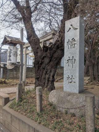 八幡神社（下高井戸浜田山八幡神社）の参拝記録(はくすみさん)