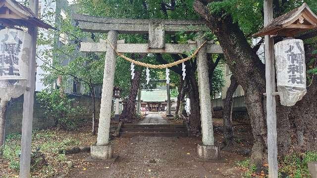 八幡神社(下高井戸浜田山八幡神社)の参拝記録7