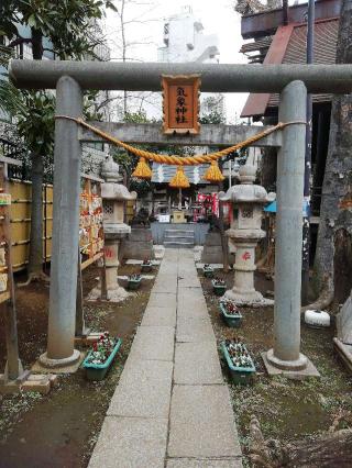 高円寺氷川神社の参拝記録(kaiunさん)