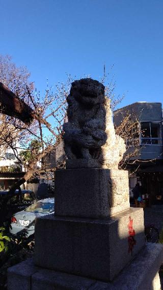 高円寺氷川神社の参拝記録(はじめさん)