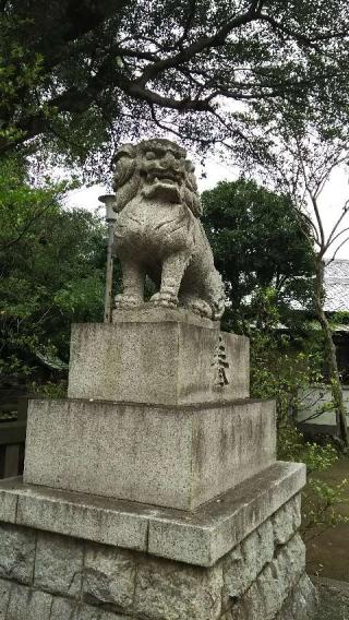 熊野神社（和泉熊野神社）の参拝記録(オトギリルさん)