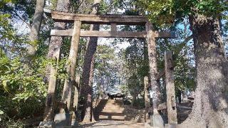 熊野神社（和泉熊野神社）の参拝記録(まっちゃんさん)