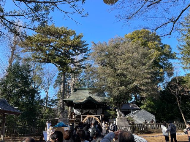 熊野神社（和泉熊野神社）の参拝記録10