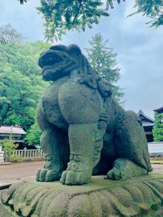 熊野神社（和泉熊野神社）の参拝記録(shikigami_hさん)