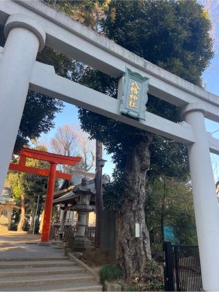 天沼八幡神社の参拝記録(⛩️🐍🐢まめ🐢🐍⛩️さん)