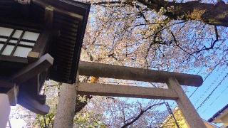 田端神社の参拝記録(オトギリルさん)