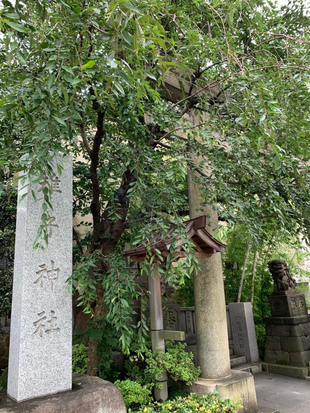 雉子神社の参拝記録(チャコさん)