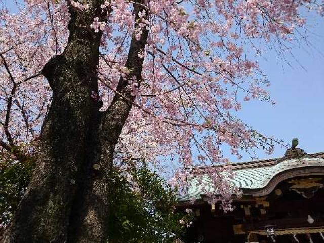 東京都品川区小山5-8-7 八幡神社（三谷八幡神社）の写真3