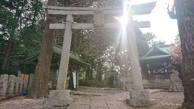 東京都品川区荏原7-5-14 八幡神社（小山八幡神社）の写真5