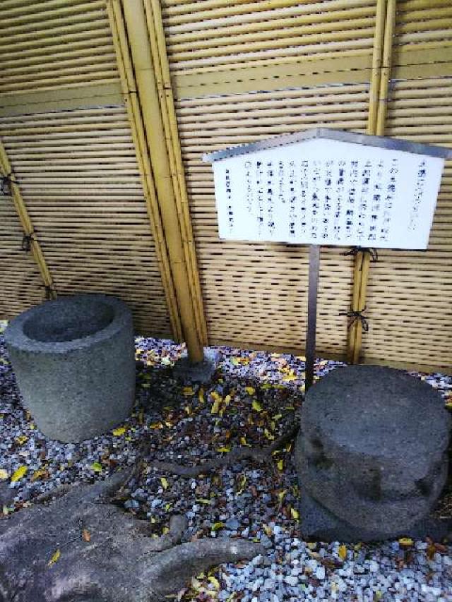 東京都品川区二葉4-4-12 天祖神社（蛇窪神社）の写真23