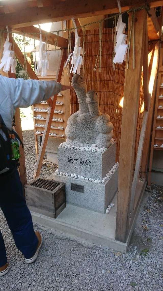 東京都品川区二葉4-4-12 天祖神社（蛇窪神社）の写真13
