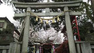 居木神社の参拝記録(オトギリルさん)