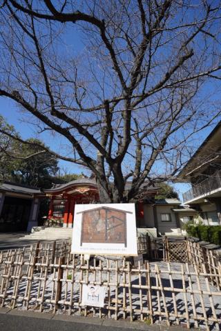 旗岡八幡神社の参拝記録(Samuアインさん)
