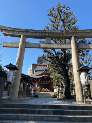 目黒 大鳥神社の参拝記録(⛩️🐍🐢まめ🐢🐍⛩️さん)