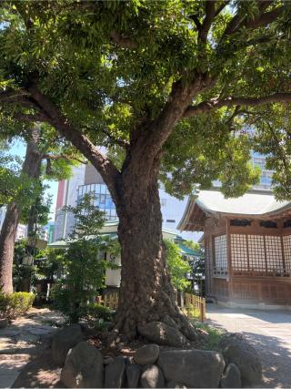 目黒 大鳥神社の参拝記録(⛩️🐍🐢まめ🐢🐍⛩️さん)