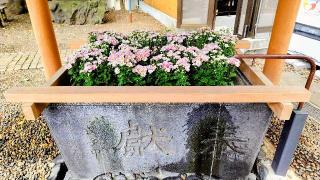 上目黒氷川神社の参拝記録(オトギリルさん)